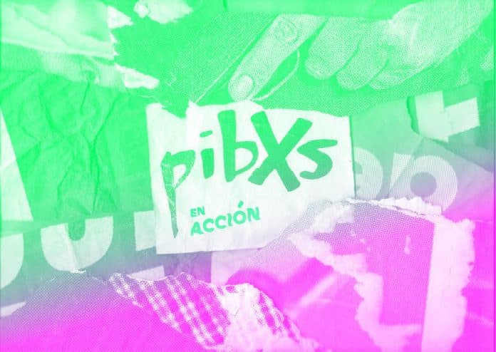 Pibxs en acción