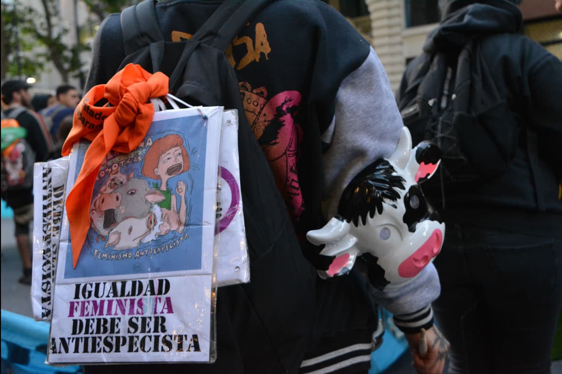 La revolución será antiespecista o no será