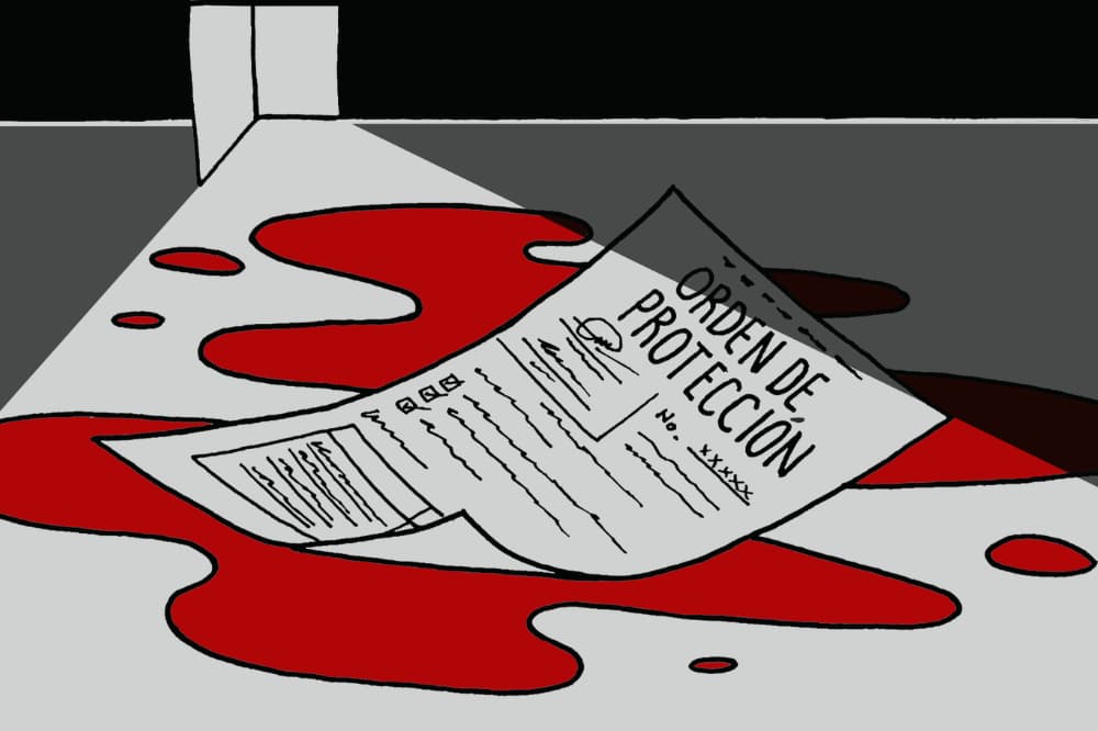 15 años tras la aprobación de la primera ley contra el femicidio en América Latina, el delito no baja