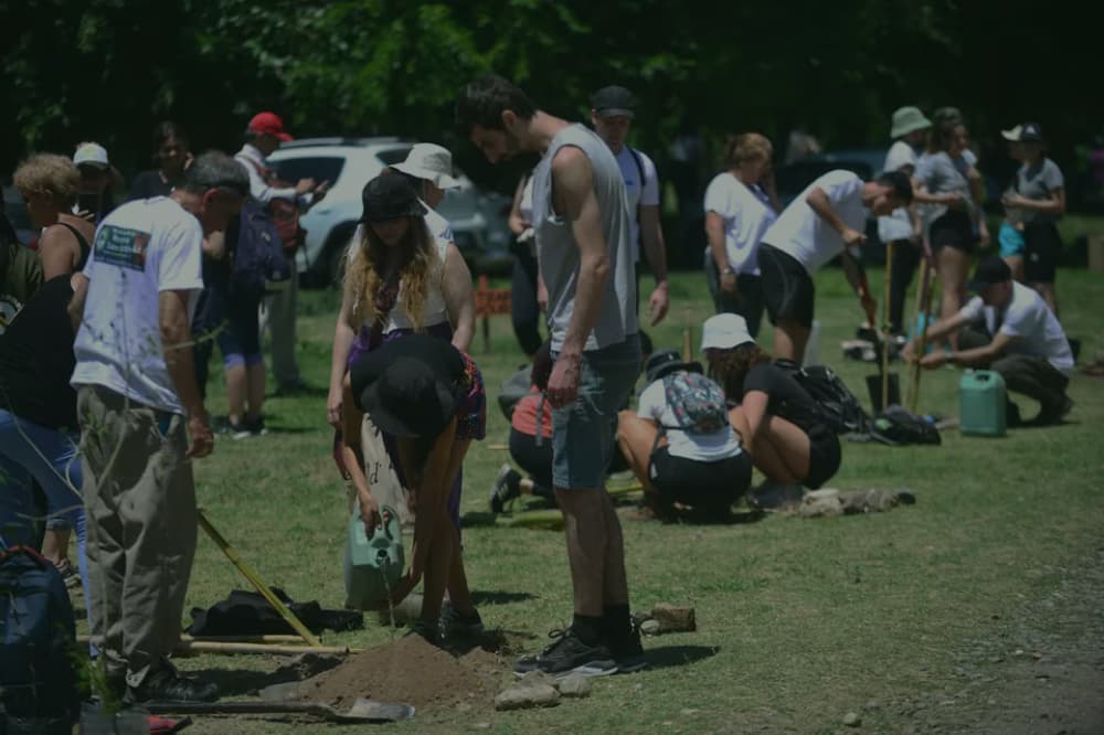 ¿Naturaleza o cemento? Vecinos de Córdoba piden proteger lo que queda del monte 