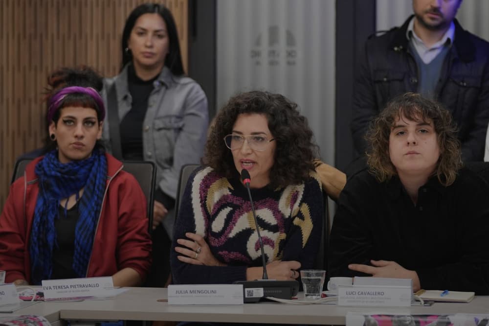 Odio de género organizado: la ofensiva digital de la derecha contra las periodistas en Argentina