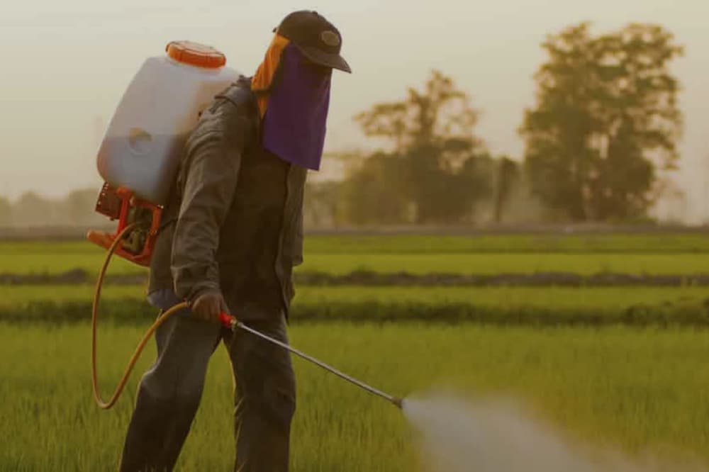 Abortos espontáneos, infertilidad y silencios: cómo impactan los agrotóxicos en la salud reproductiva