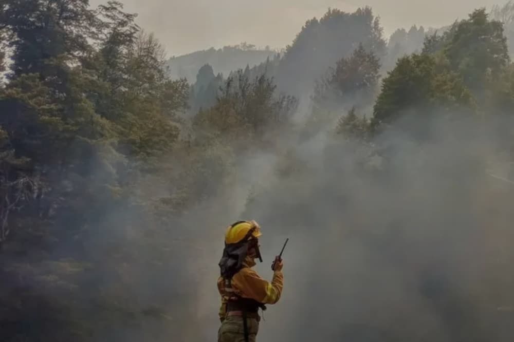 Incendios en la Patagonia: las trabajadoras estatales contra el fuego