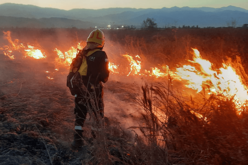 Emergencia climática: en 2022 hubo incendios forestales en todas las provincias