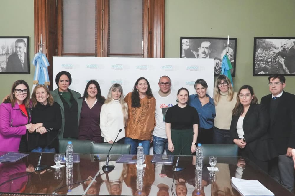 Provincia de Buenos Aires: la violencia digital podría incorporarse a la ley de violencia familiar 