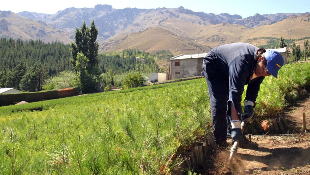 Murupue: construir y potenciar saberes desde el monte