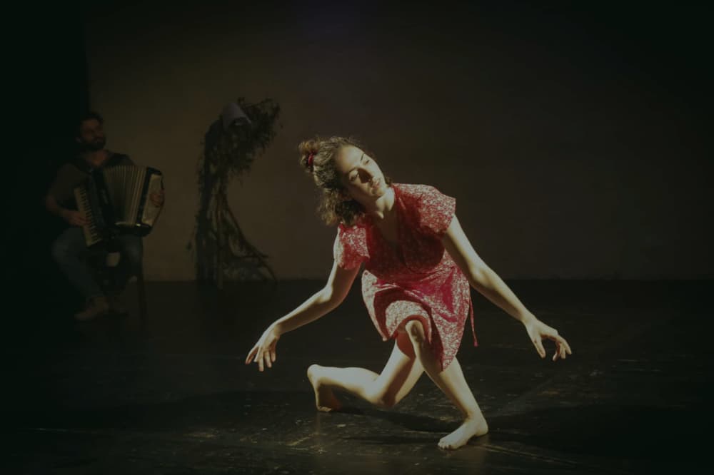 "Pacata", cuando bailar es reescribir