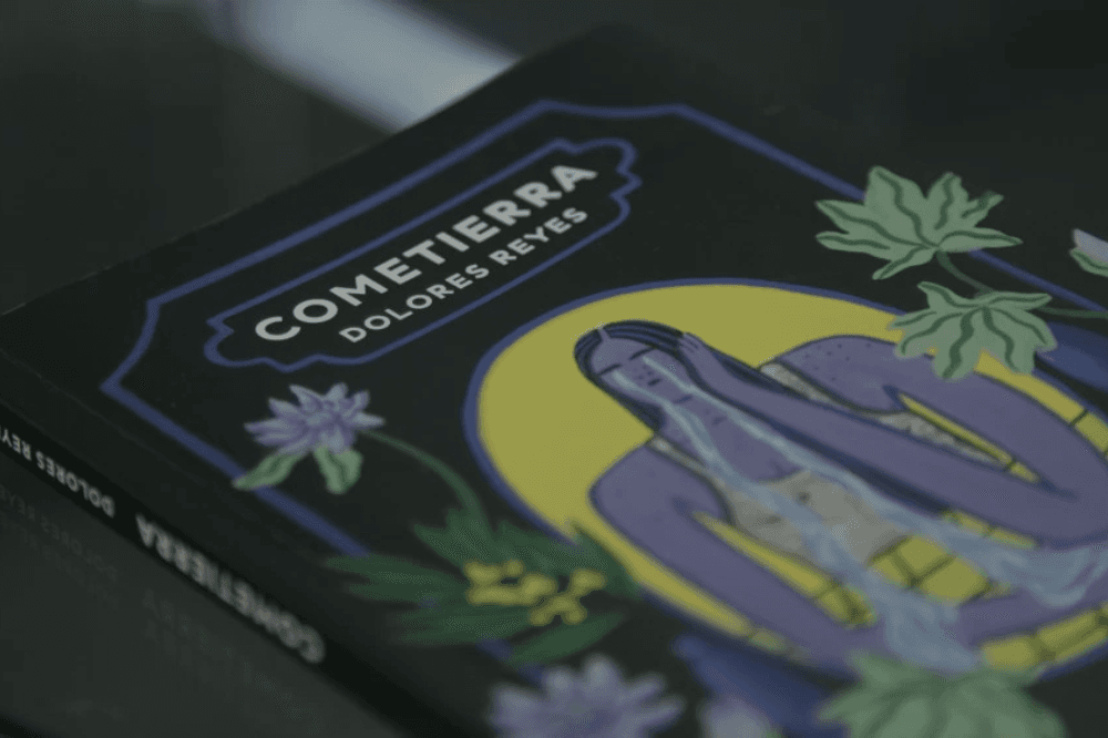 Es literatura, estúpido