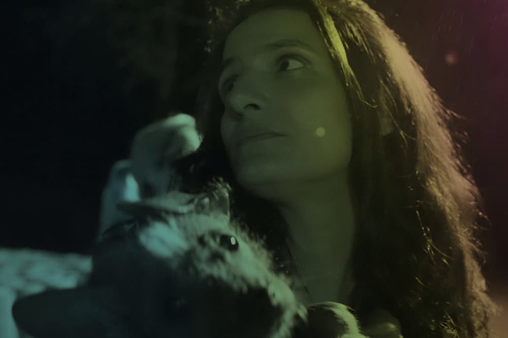 "Terminal Norte", un elogio del contratiempo