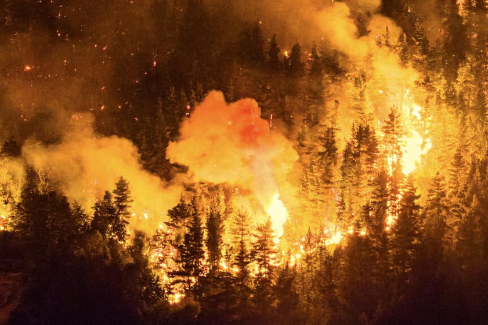 Incendios en la Patagonia: la montaña arde y la política se retira