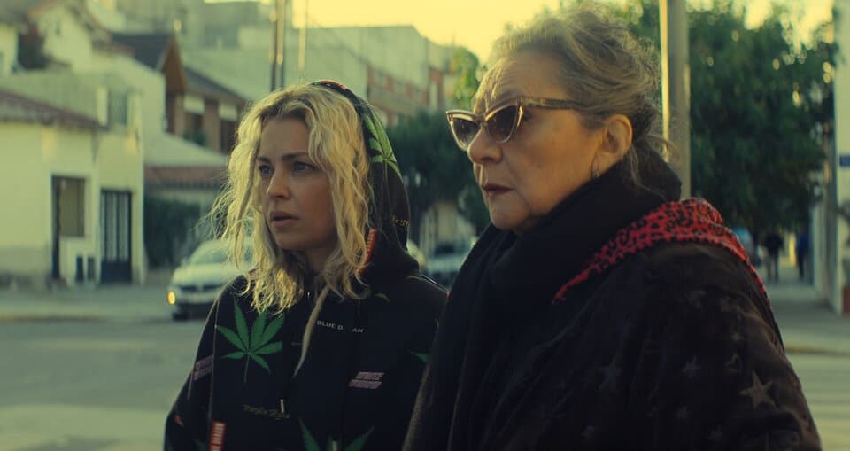 Blondi: complicidad, maternidad y otras hierbas