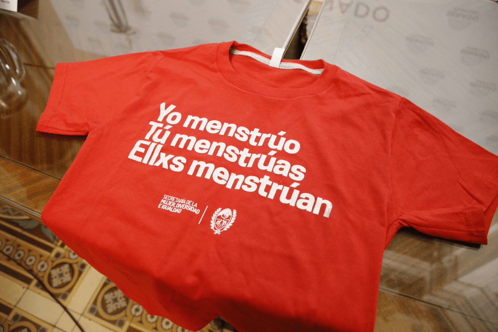 Hacia una Ley Nacional de Salud Menstrual que incluya a las activistas