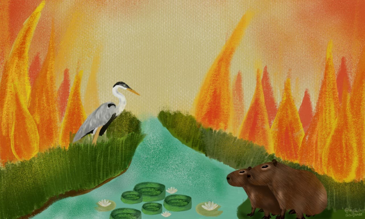 Enardecidas: el camino pendiente hacia una Ley de Protección de Humedales