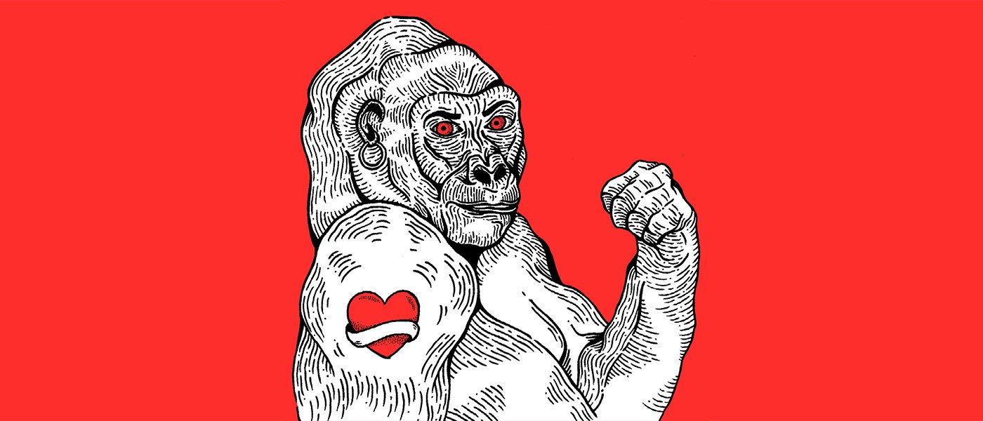 Teoria King Kong Feminacida