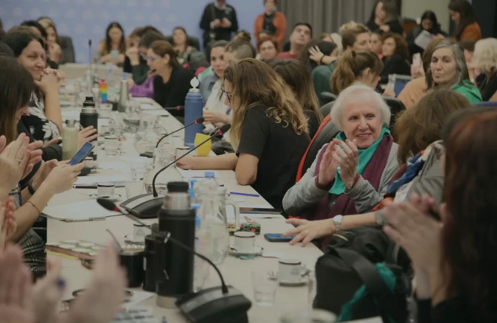 Asamblea feminista en Diputados